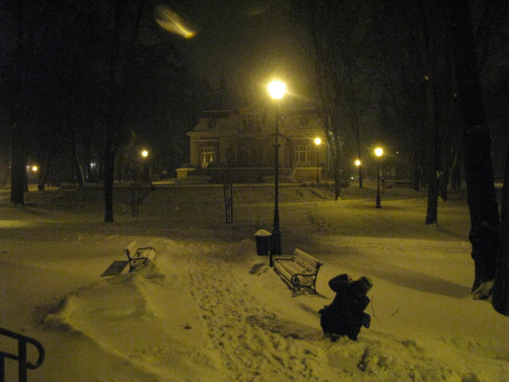 Zimowy Żyrardów Park.jpg