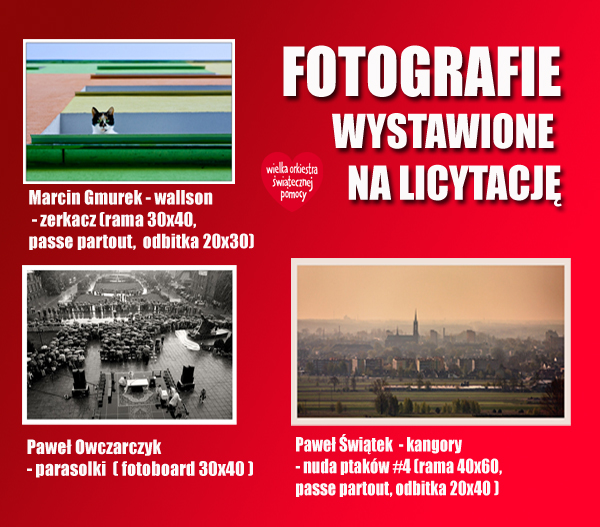 licytacja.jpg