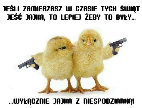 kurczaki-niespodzianka.jpg
