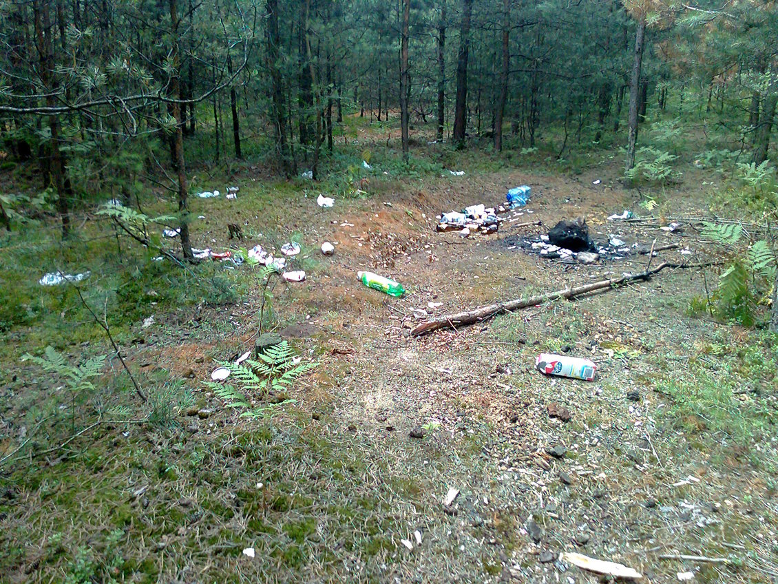 Zdjęcie0338.jpg
