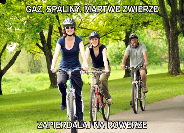 rowery.png