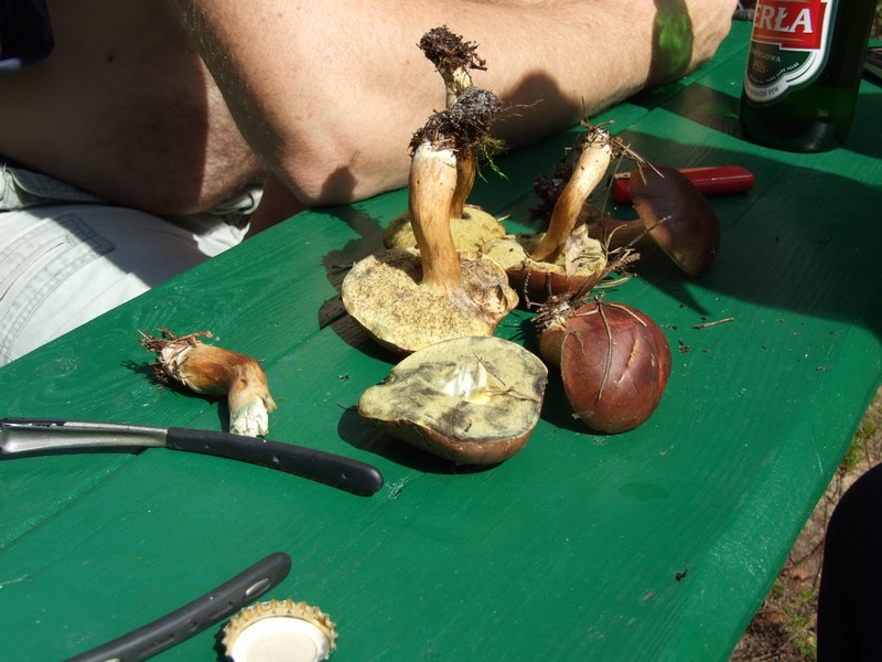 DSCF5767.jpg