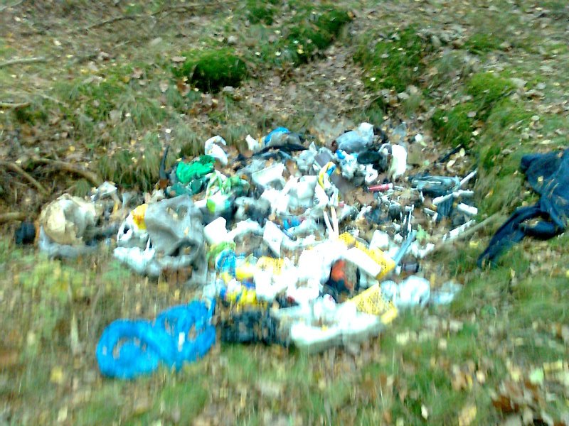 Zdjęcie0620.jpg