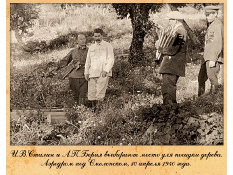 stalin i drzewa data.jpg