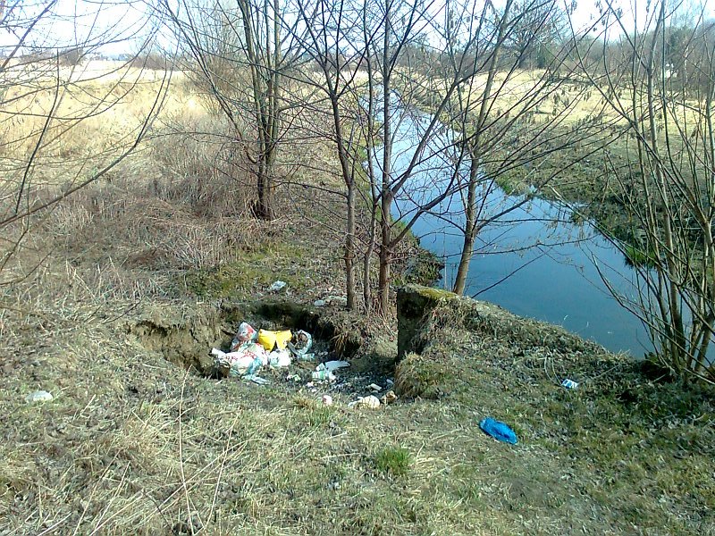 Zdjęcie0920.jpg