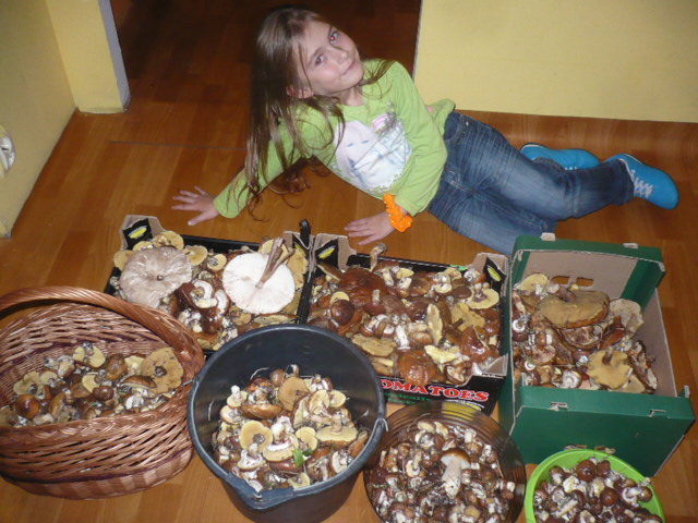 Wesele Wioli i Pawła 007.JPG