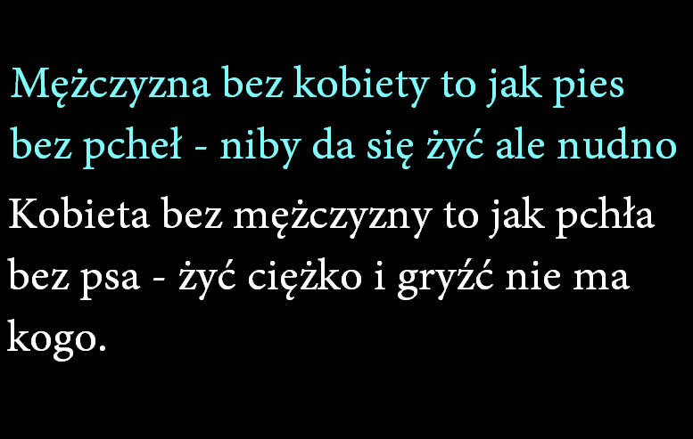 pchła.png