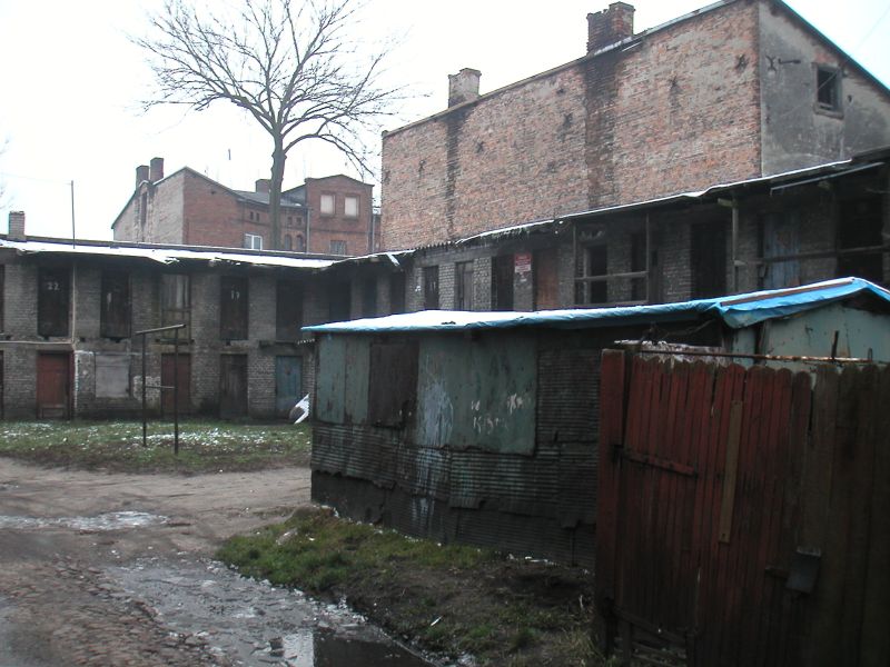 26 trzebak w środku nieczego.jpg