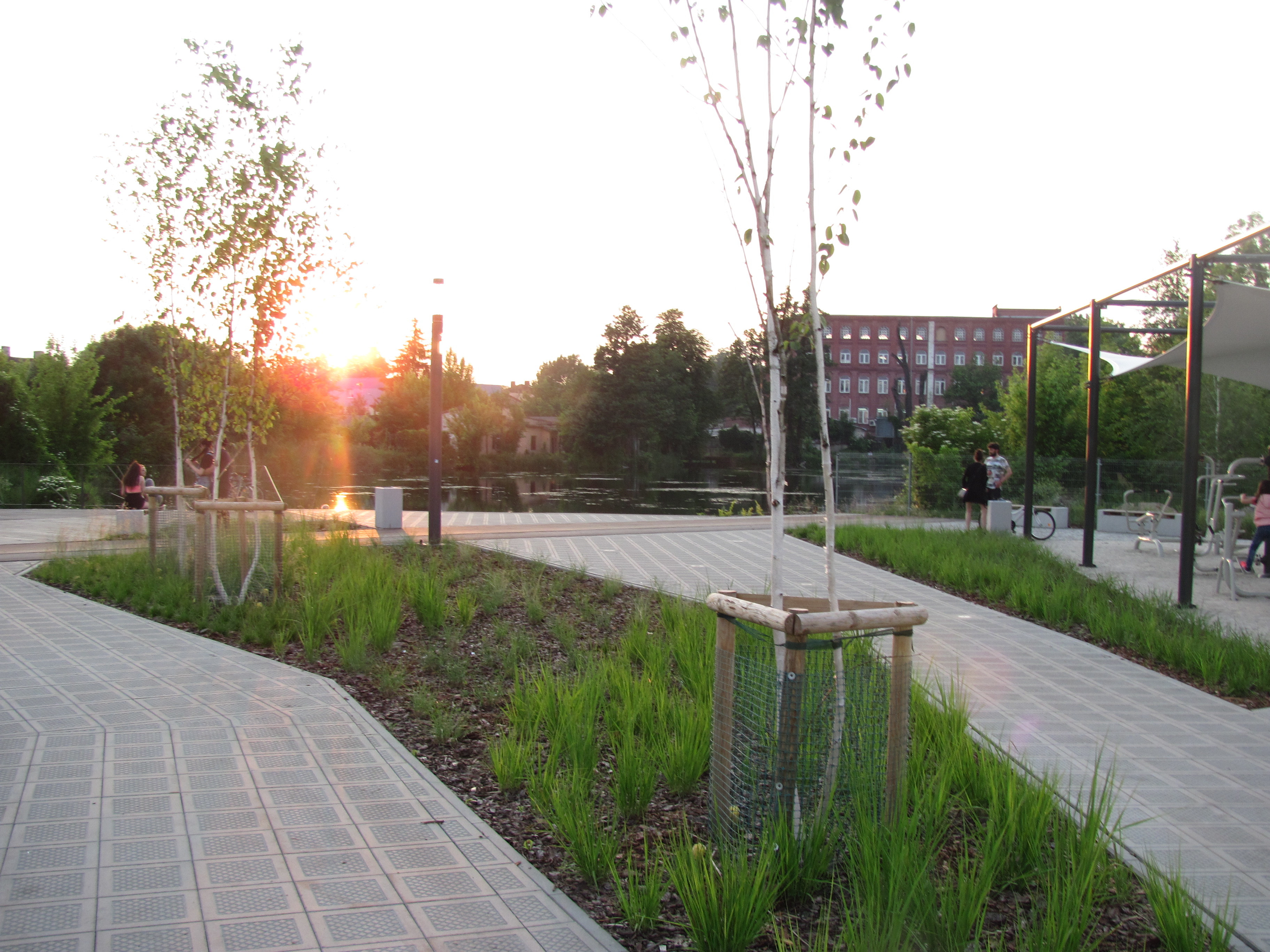 Skwer inż. Władysława Strzednickeigo Zachód Słońca.JPG