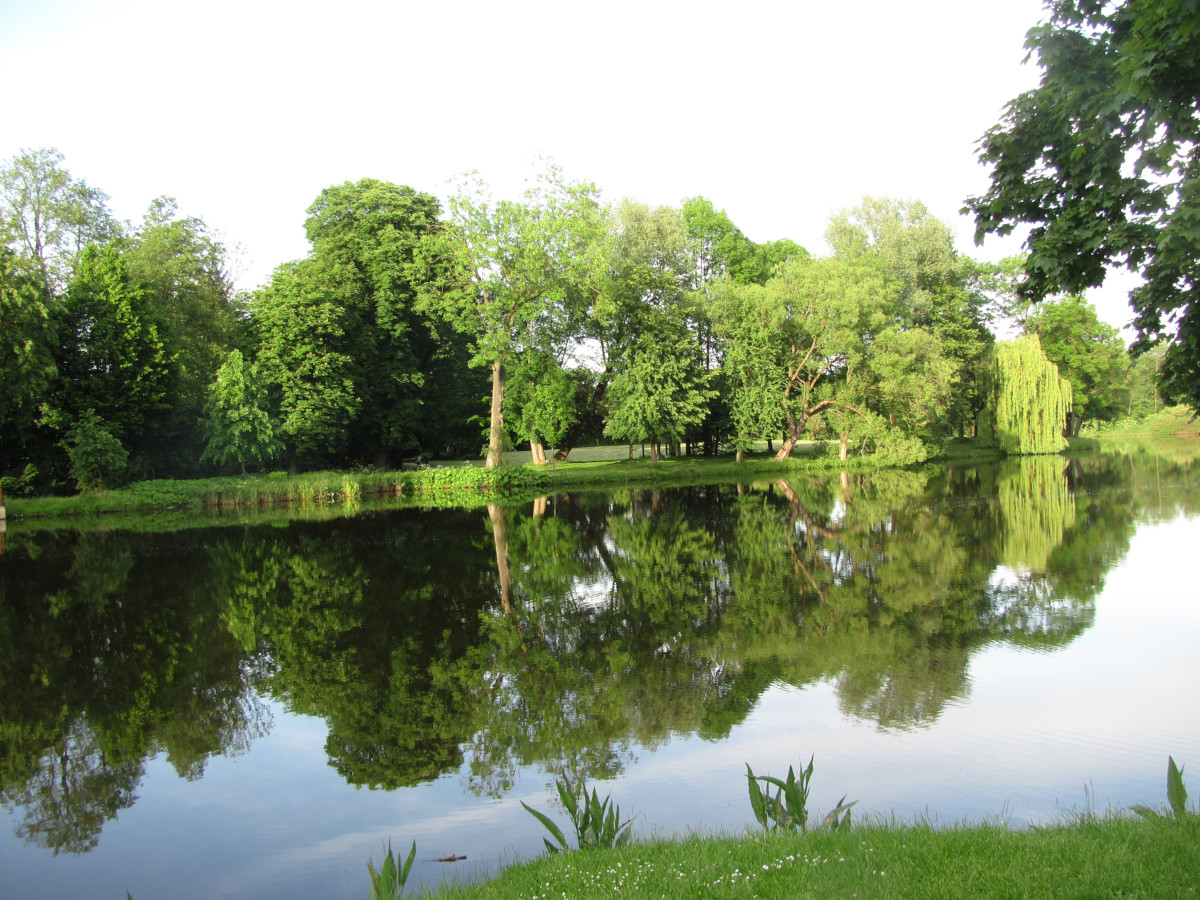 Widok na Radziejowicki Staw.jpg