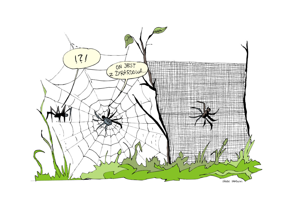 Manufaktura Satyry I Miejsce Janek Janowski Gliwice.jpg