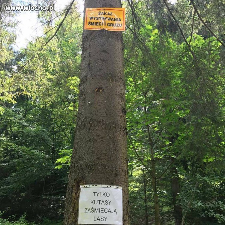 Zakaz wysypwania śmieci i gruzu.jpg