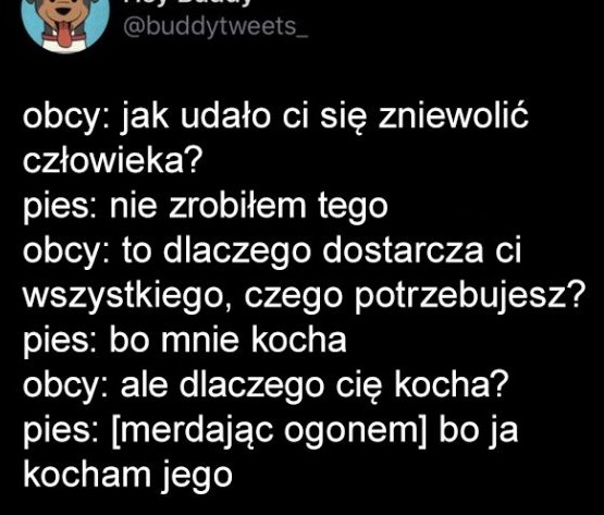 Pies zniewolił człowieka.jpg