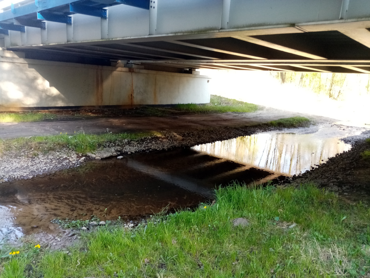 Widok na rzeczkę żelazny most.jpg