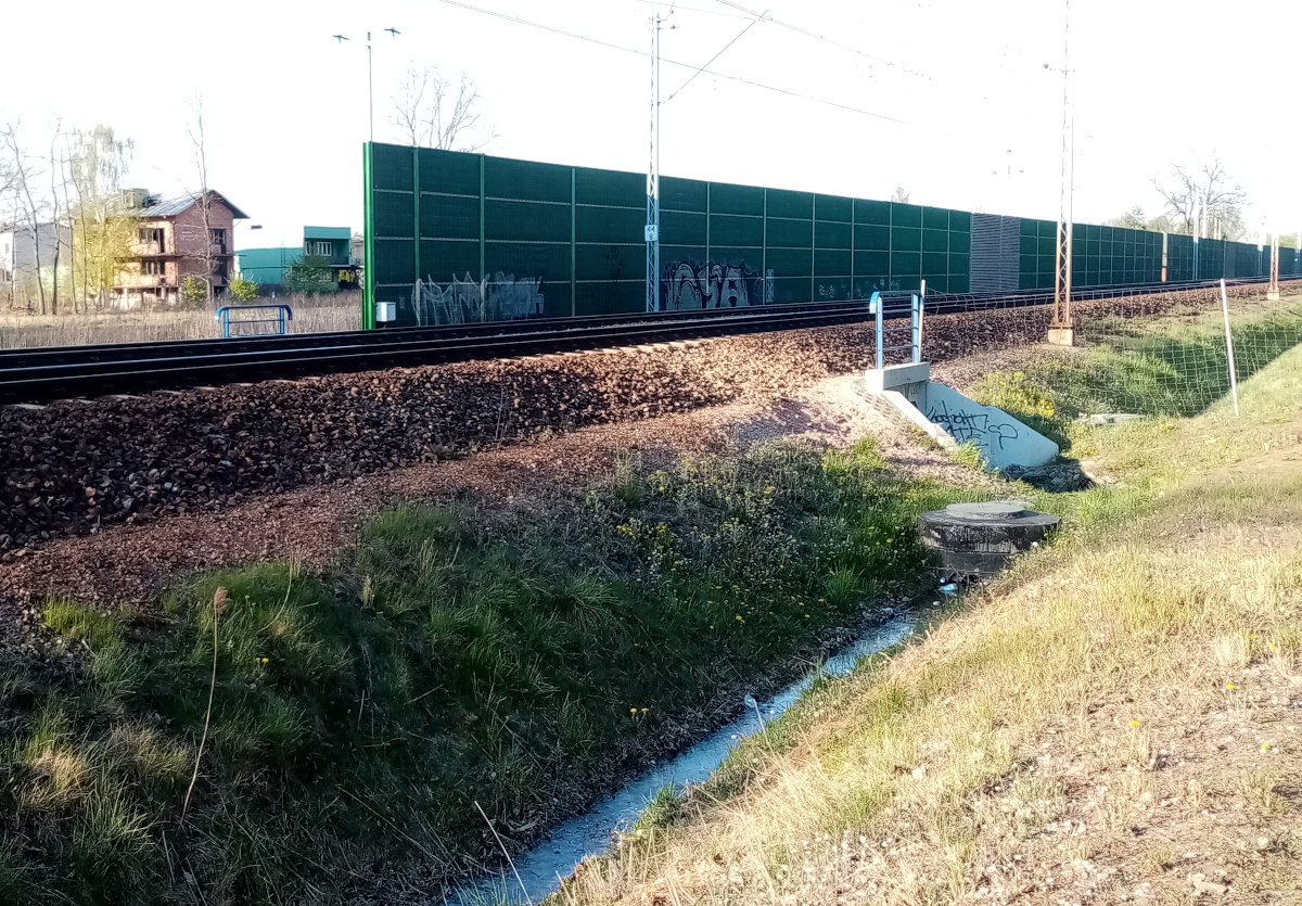 Dzikie przejście przez tory.jpg