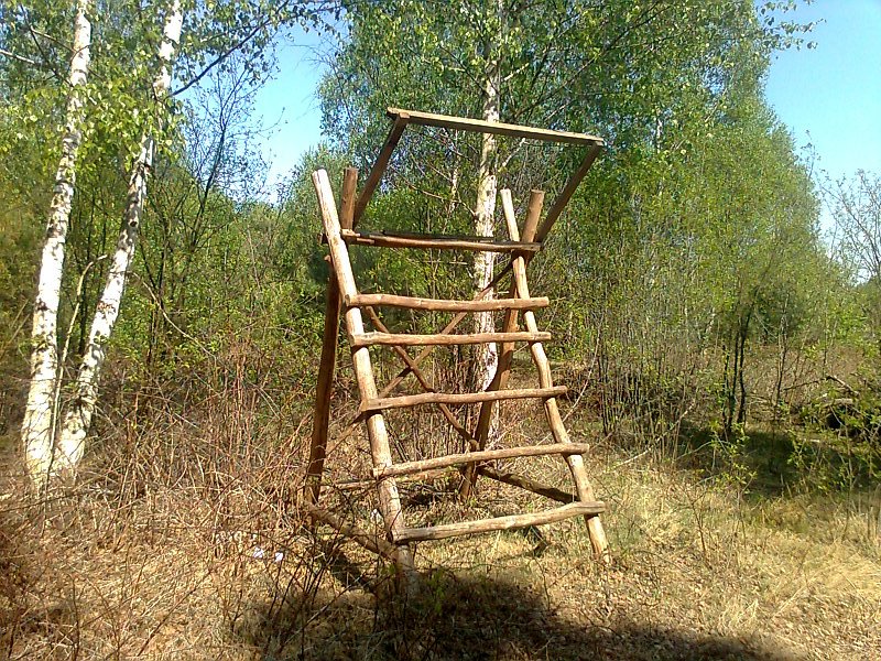 Paśnik 2 Wysoki.jpg
