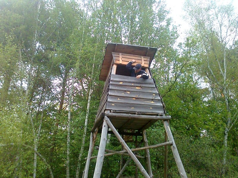 Ambona Siwa.jpg