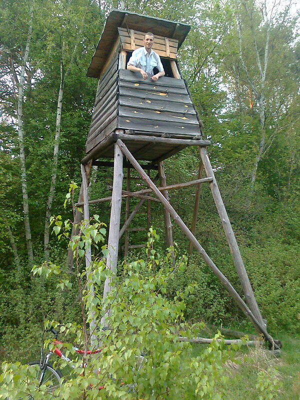 Ambona Kierowca.jpg
