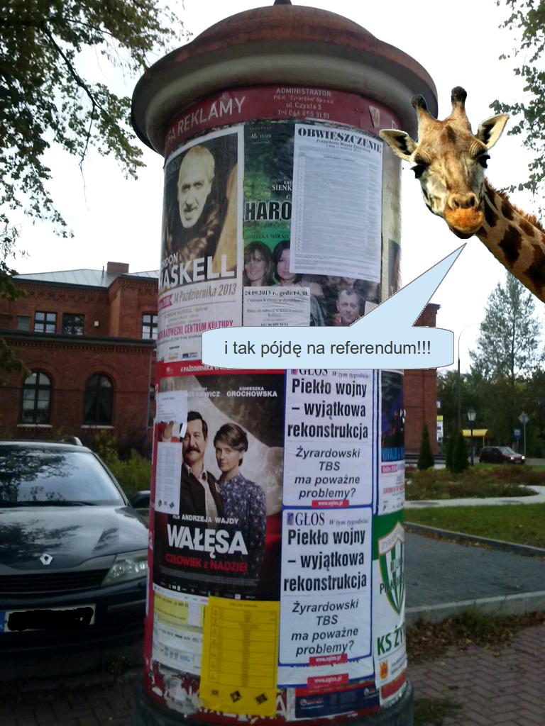 Żyrarfa referendum.jpg