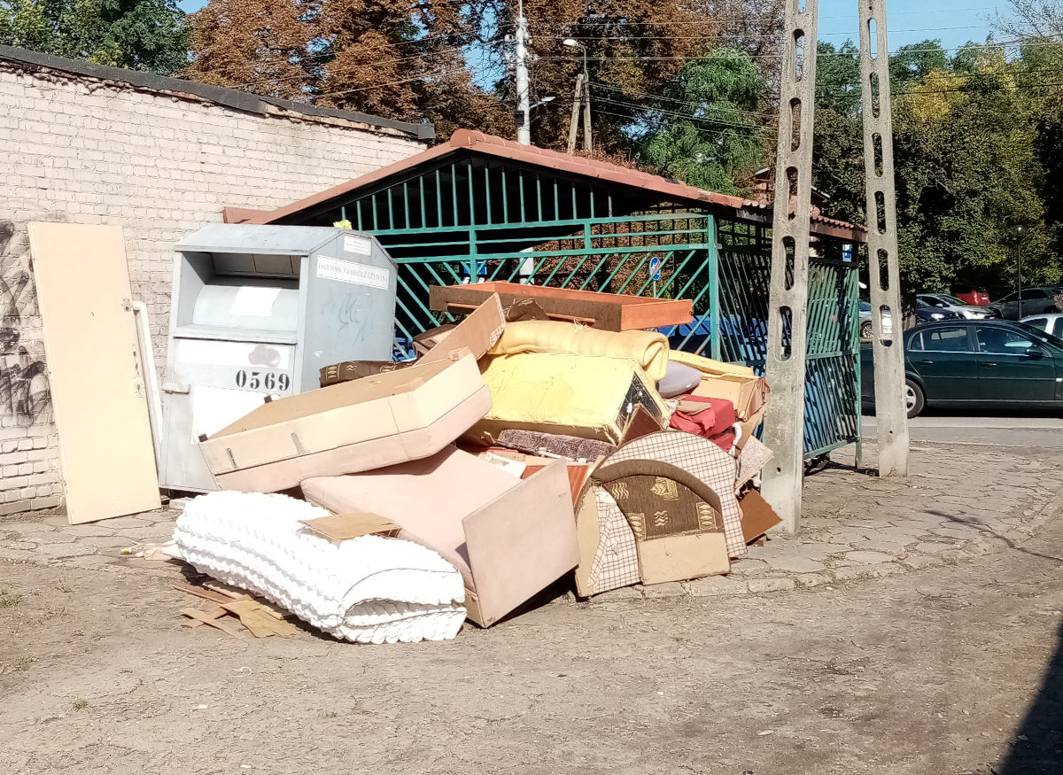 Pergola śmietnikowa.jpg