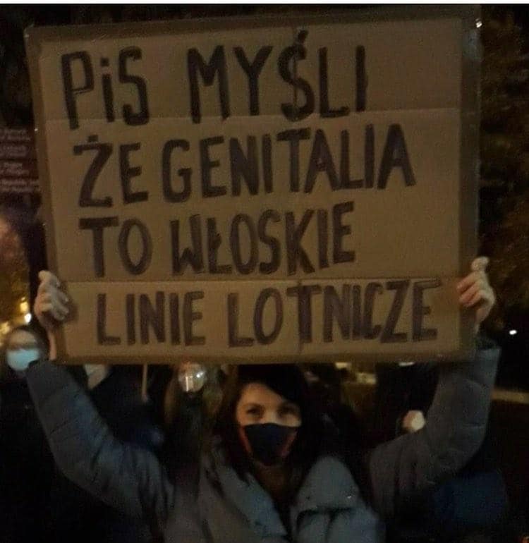 Genitalia PiS.jpg
