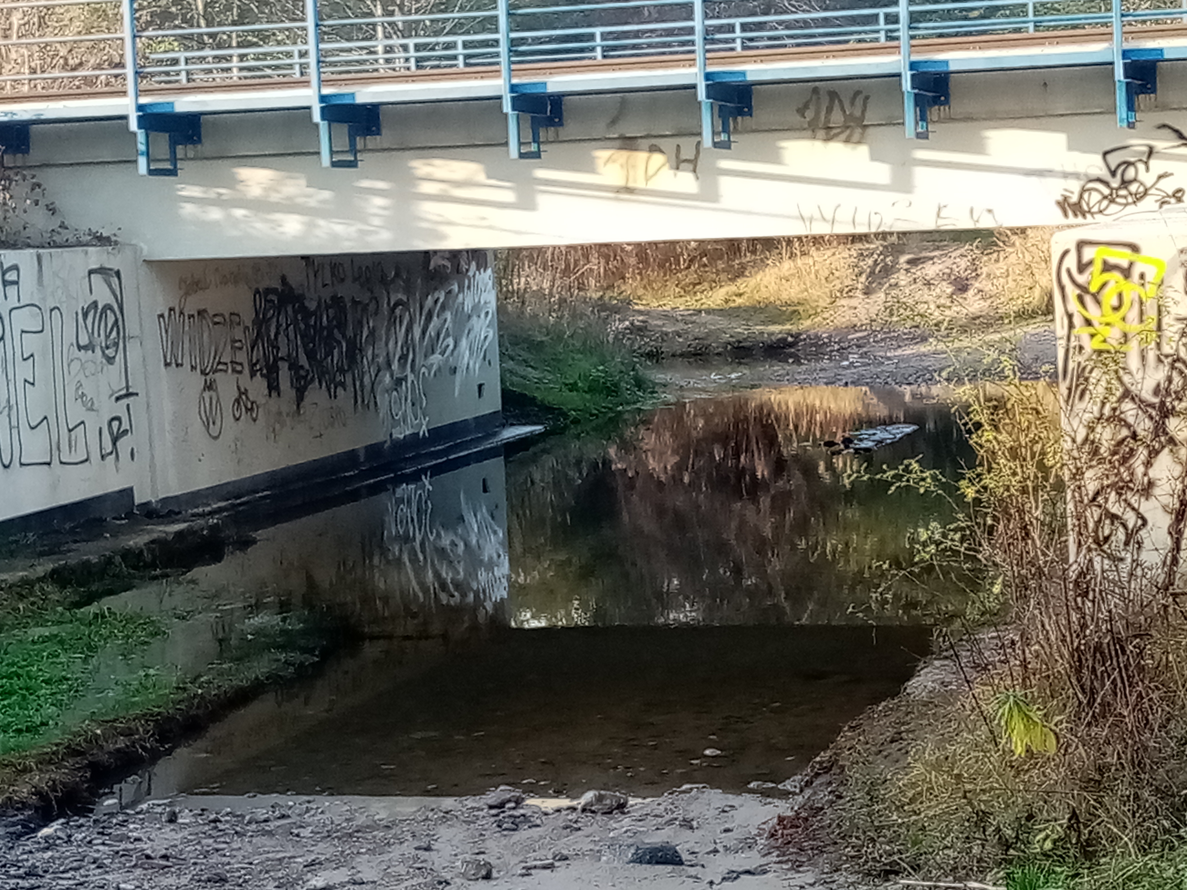 Rzeka Wierzbianka przepust pod torami.jpg