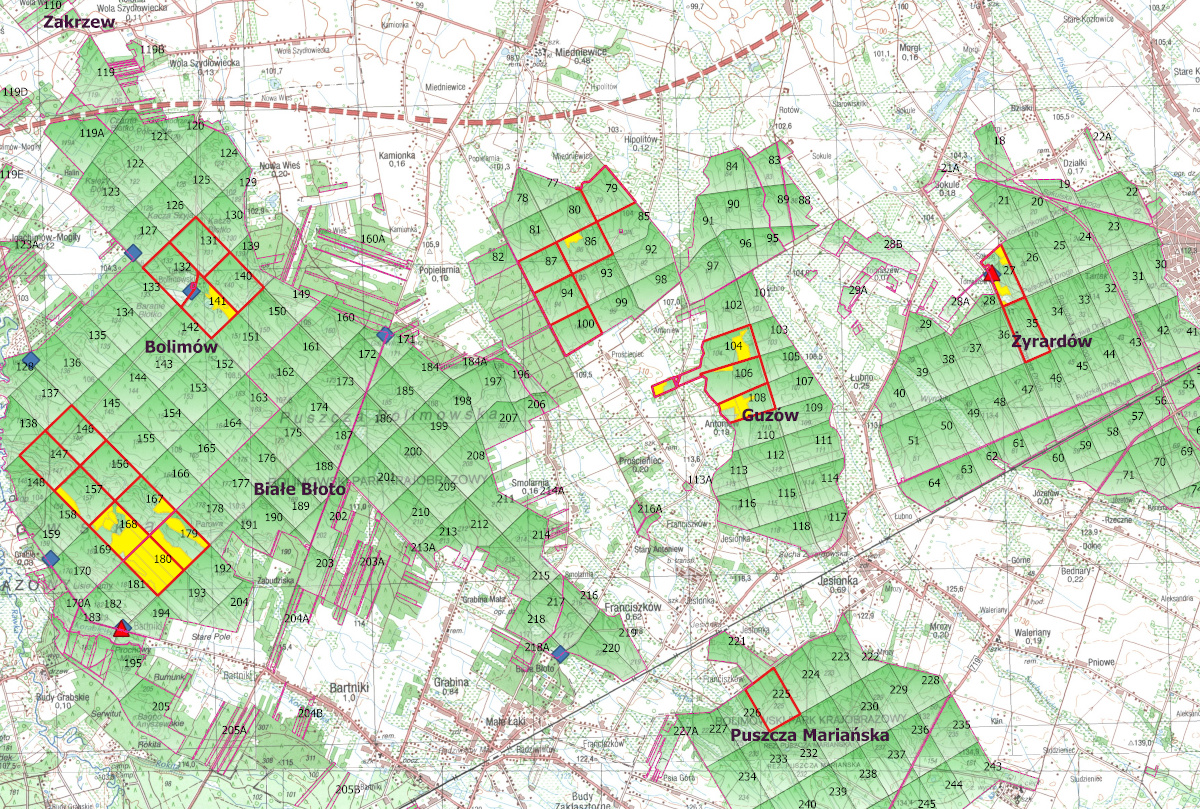 mapka oddziały leśne znocuj w lesie.jpg