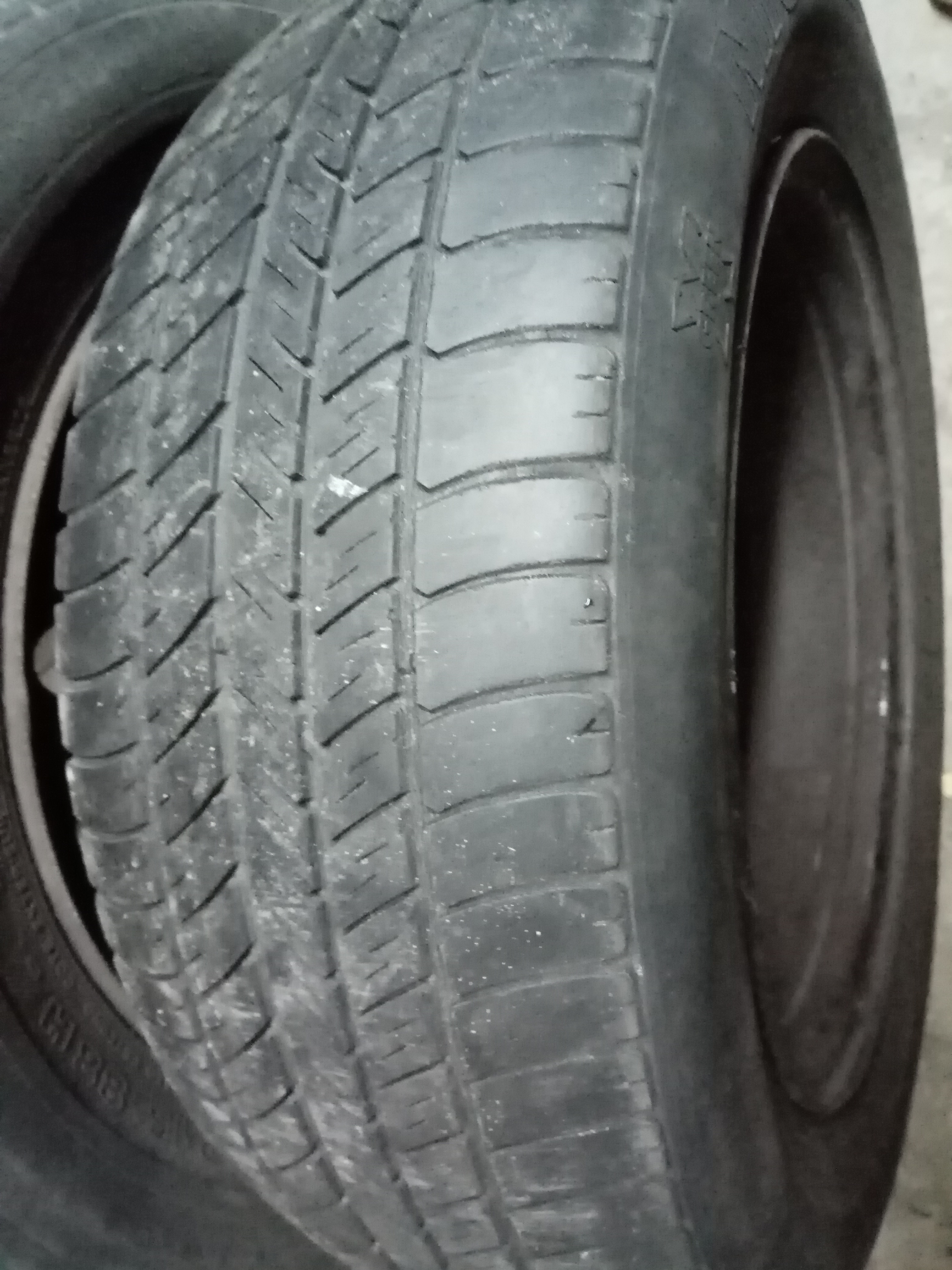 Opona Jajo Dobra.jpg