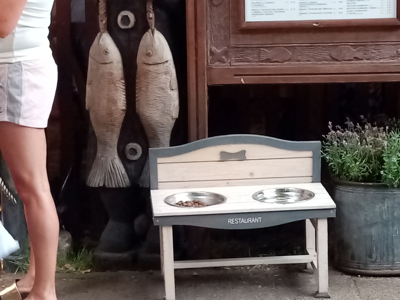 Restauracja dla psów.jpg