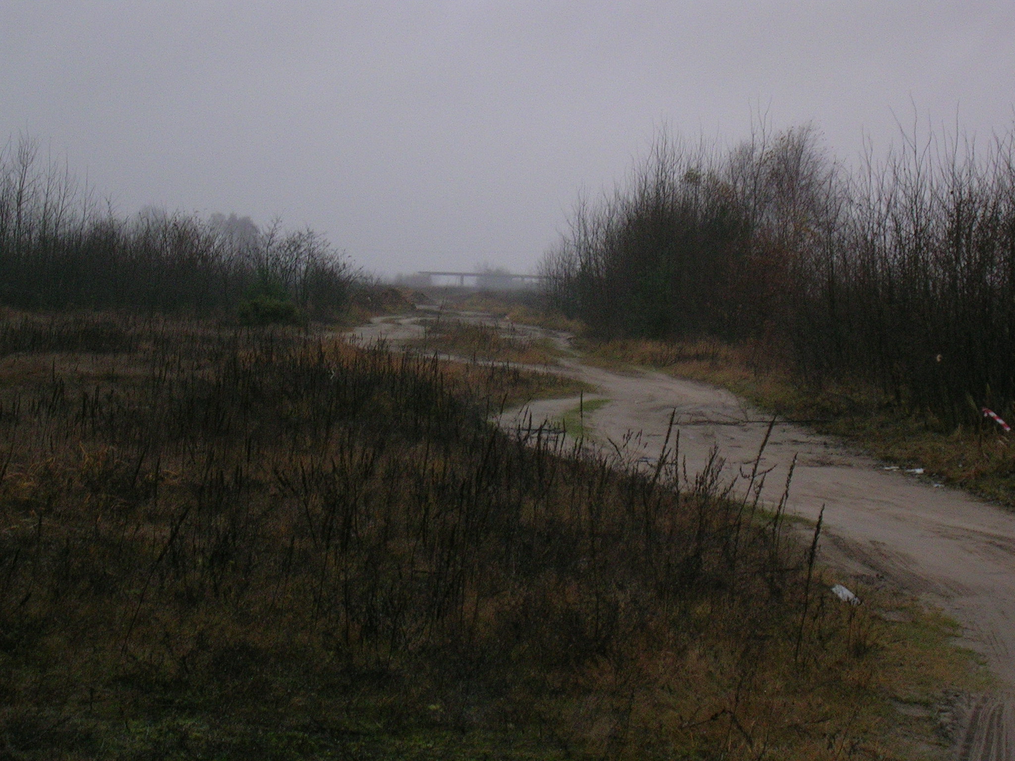 Olimpijka 4.JPG