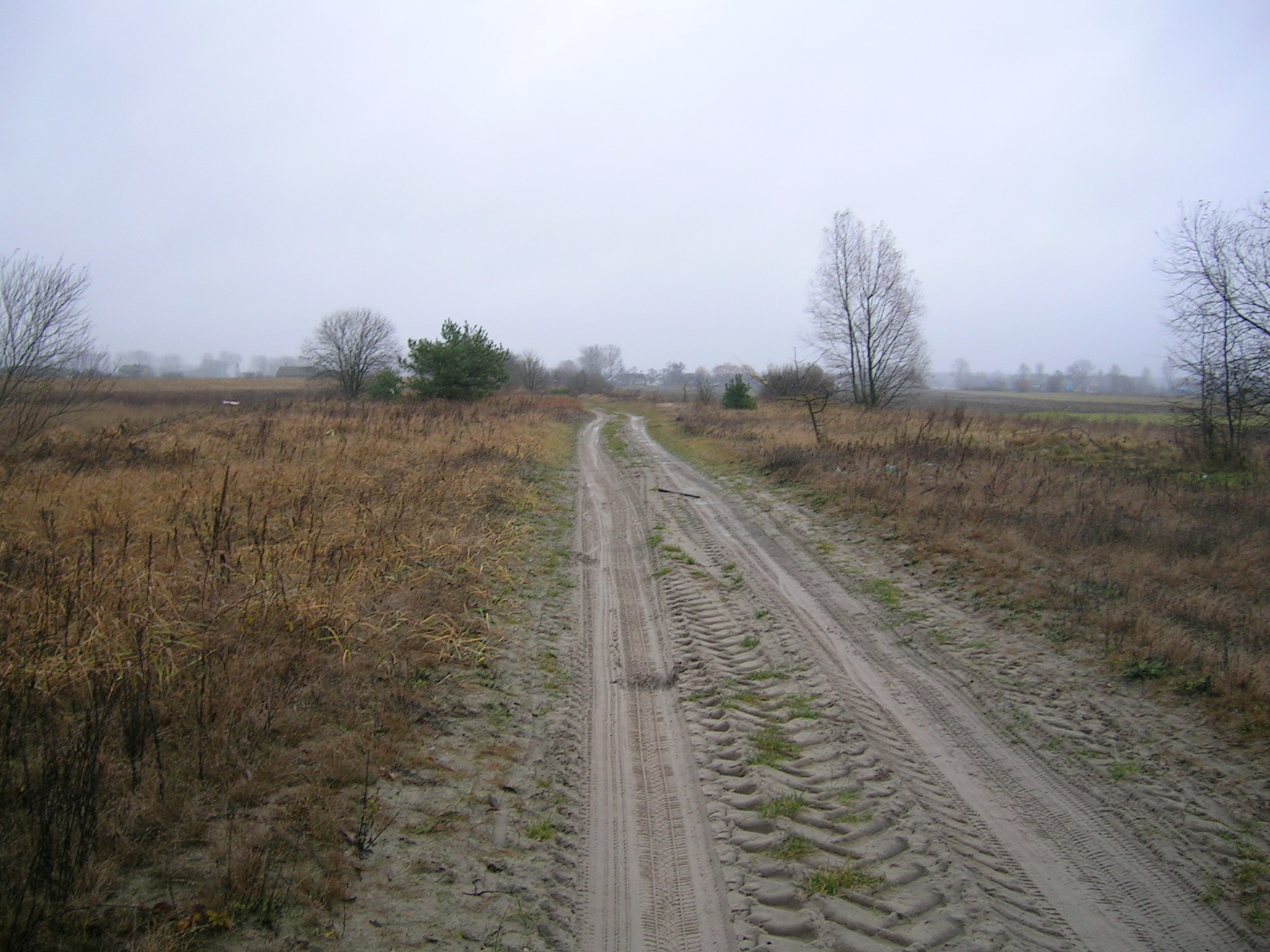 Olimpijka 9.JPG