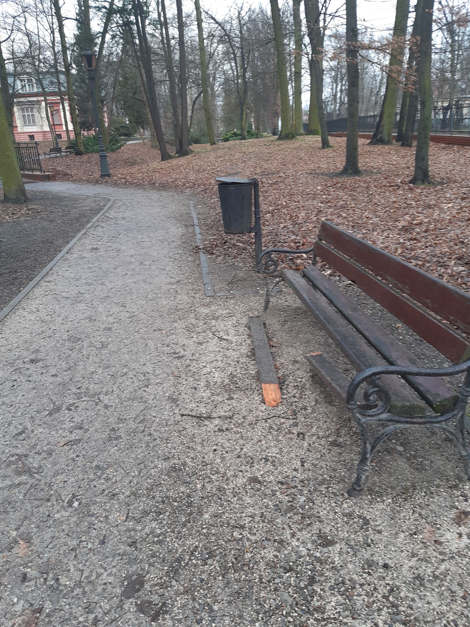 Park Ławka.jpg