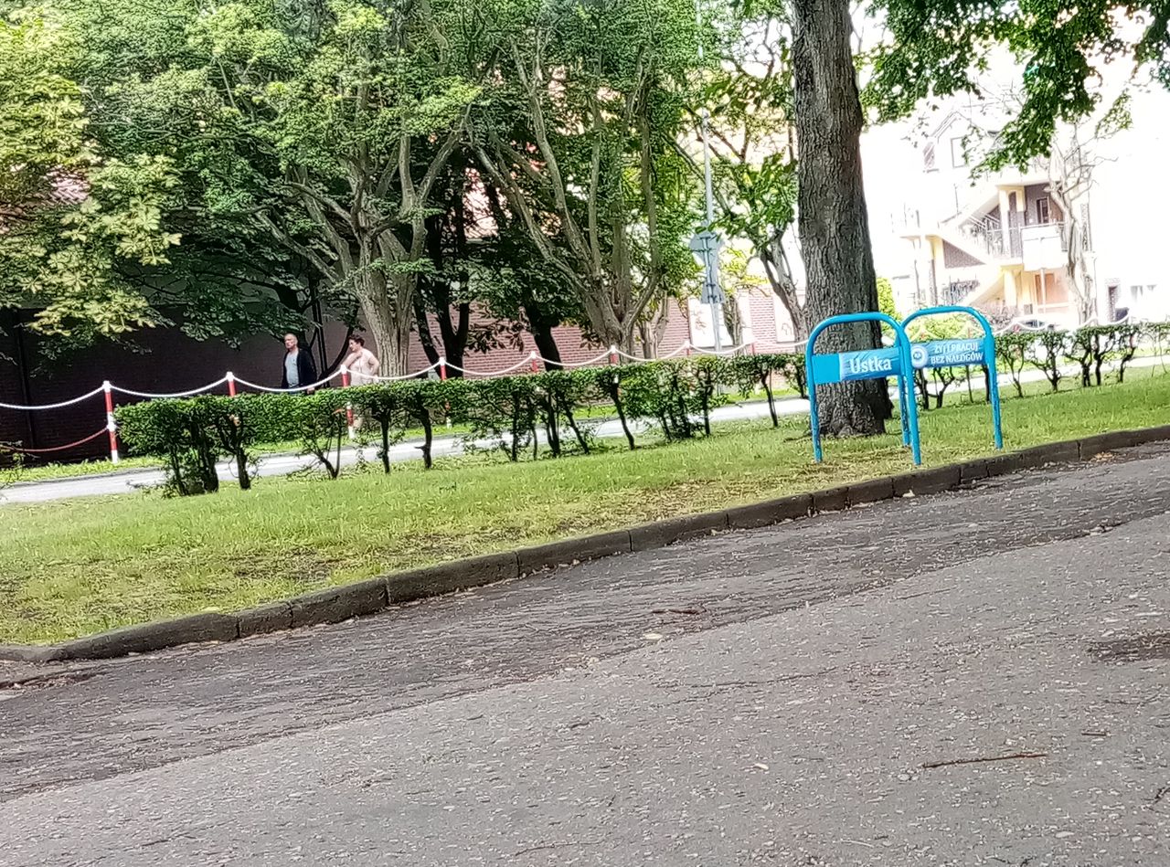 Bez nałogów z daleka.jpg