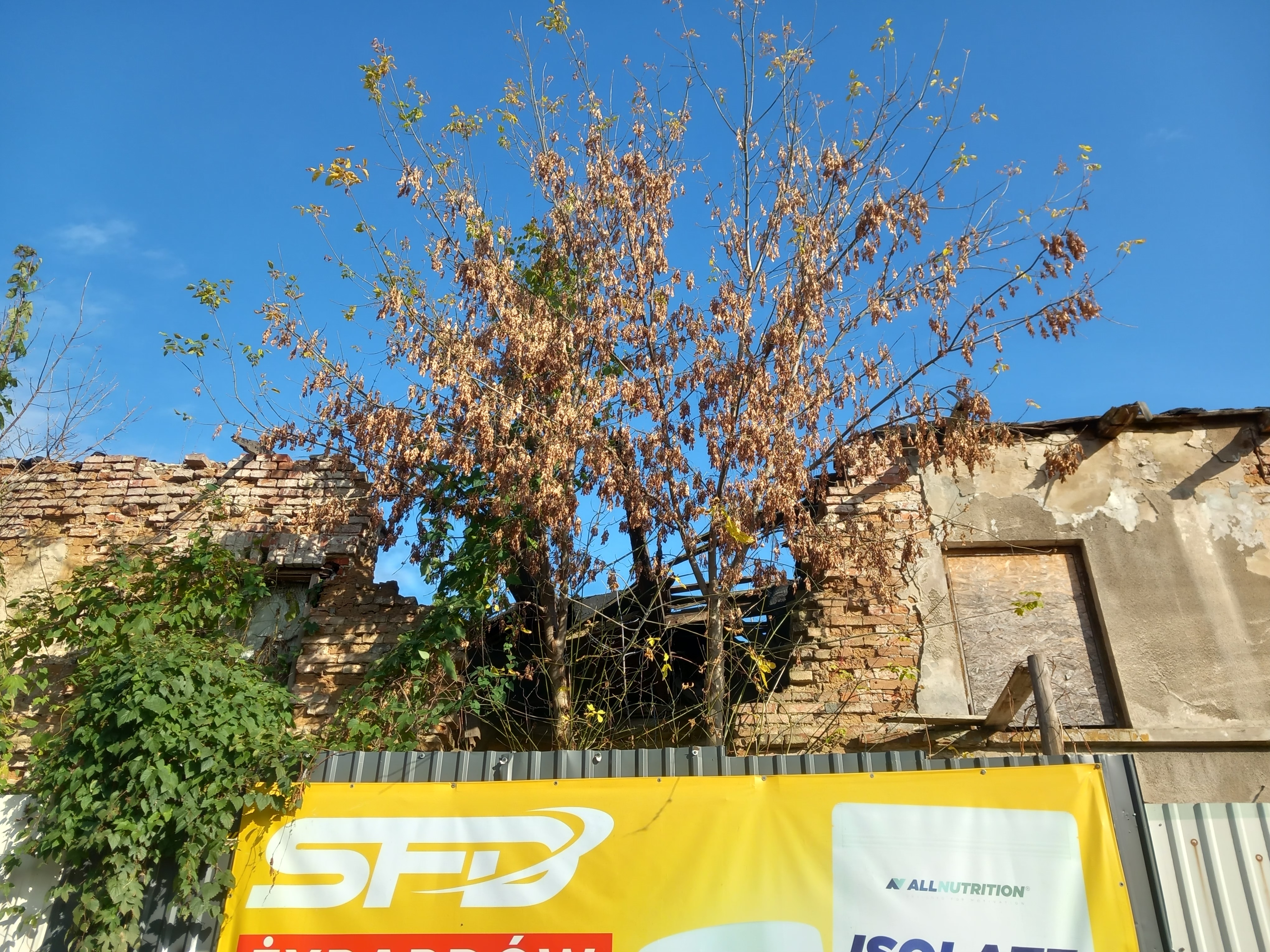 Lej po bombie Żyrardów.jpg