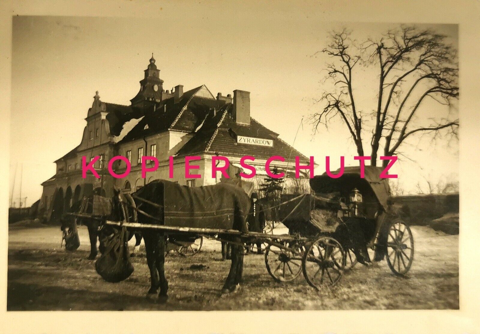 zyrardow dorożka.jpg