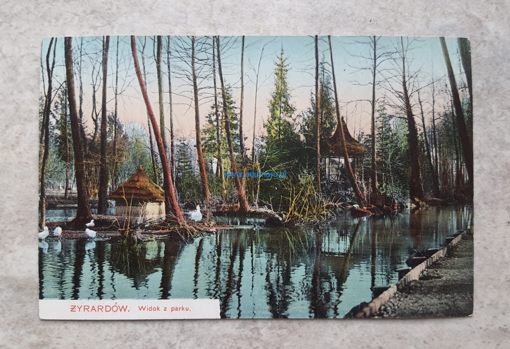 Widok z parku z 1910 roku - widokówka.jpg