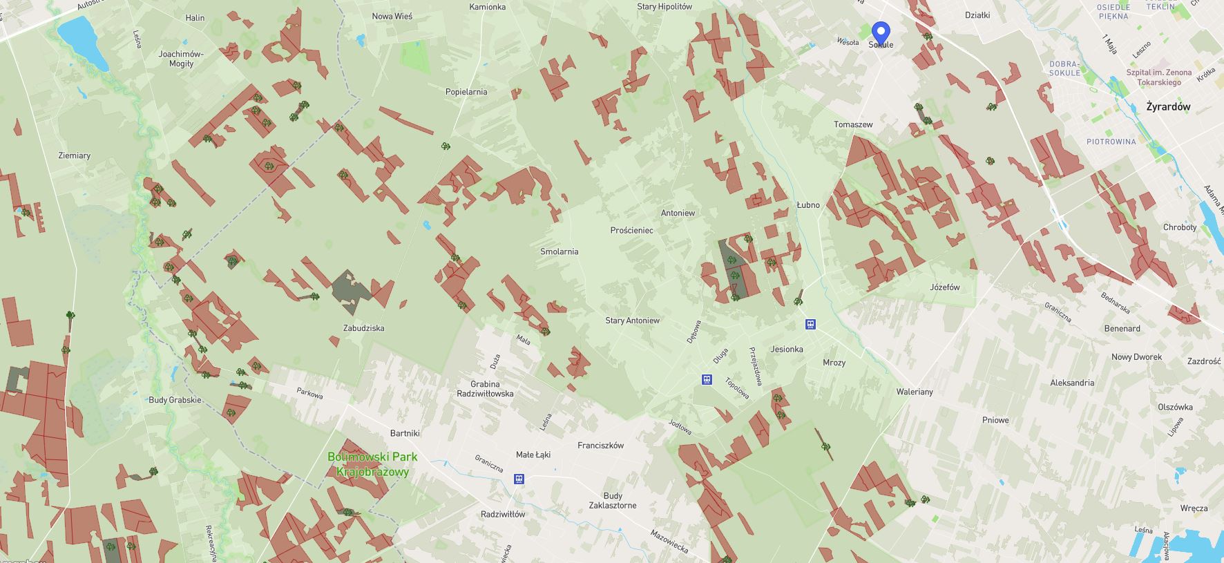 wycinki w naszym lesie.JPG