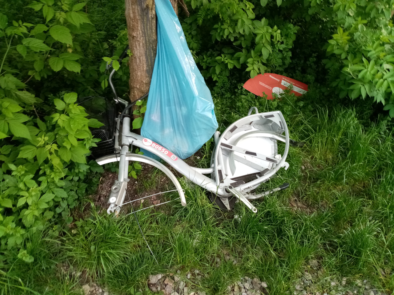 Rama roweru miejskiego.jpg