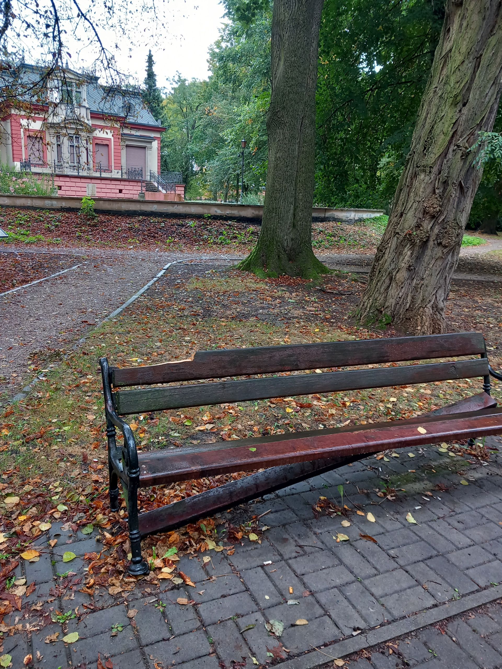 Ławka Żyrardów 2.jpg