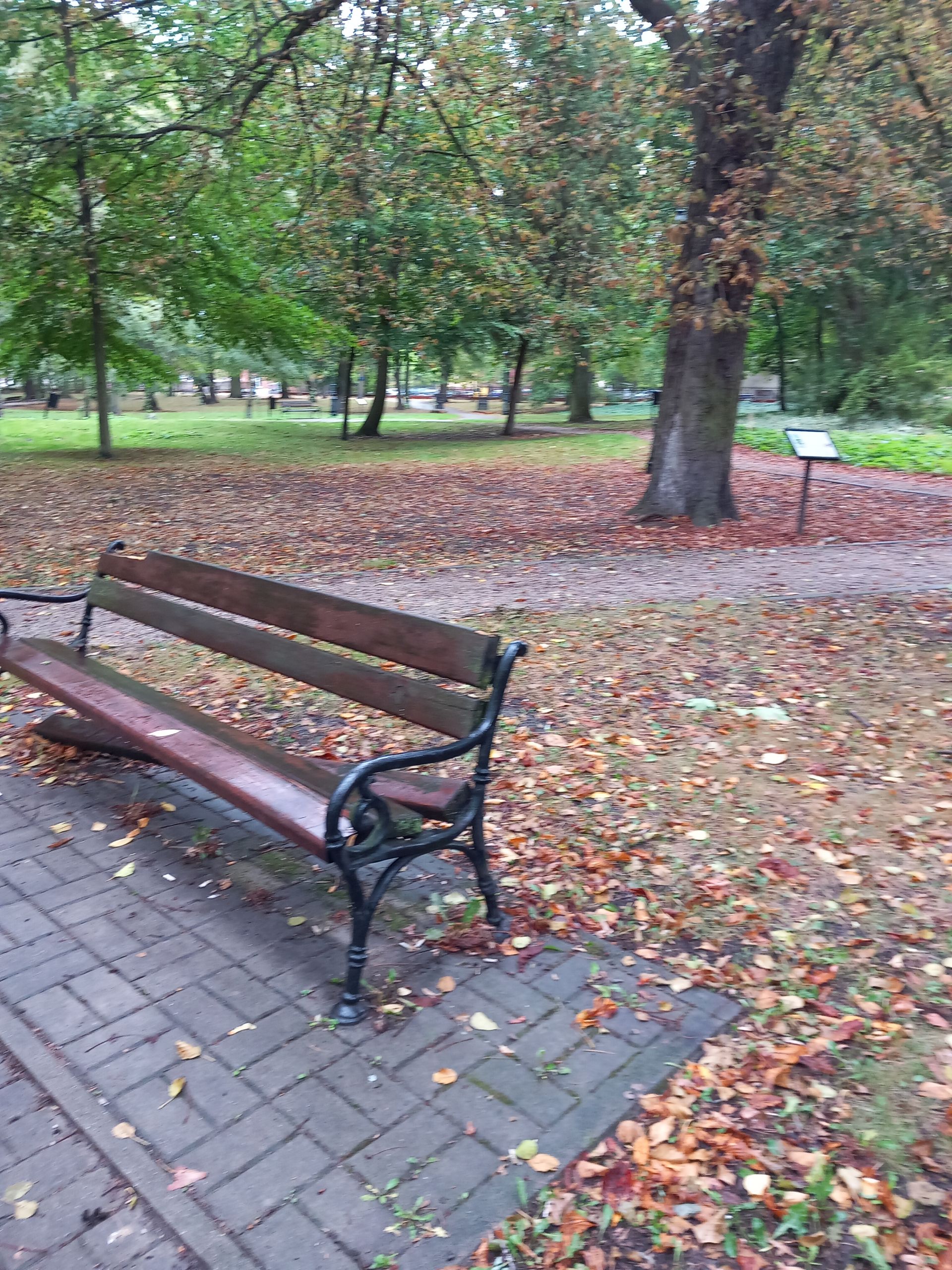 Ławka Żyrardów.jpg