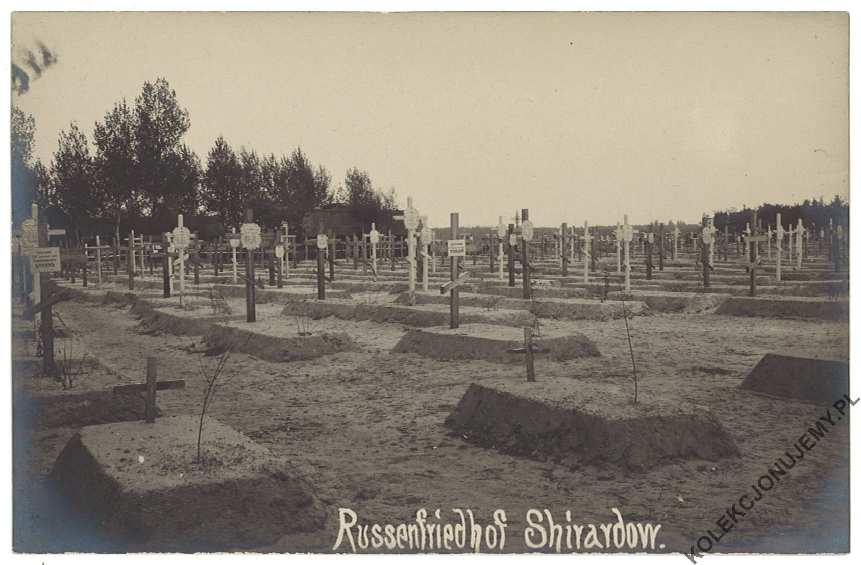 Cmentarz Rosyjski Żyrardów.jpg