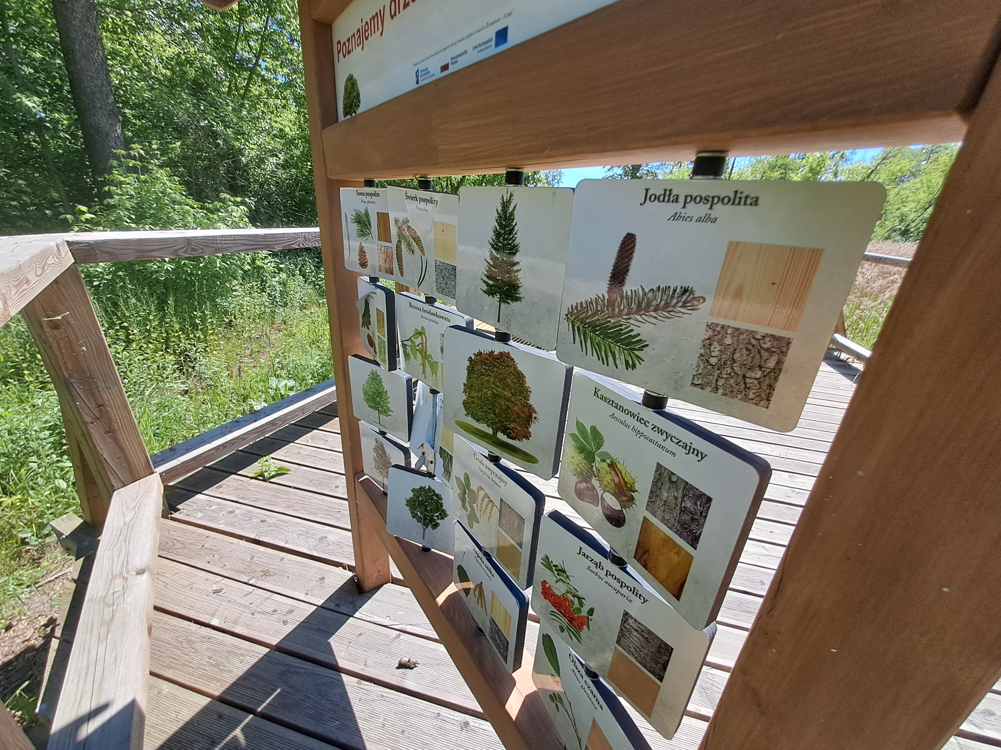 Wandalizm Żyrardów.jpg