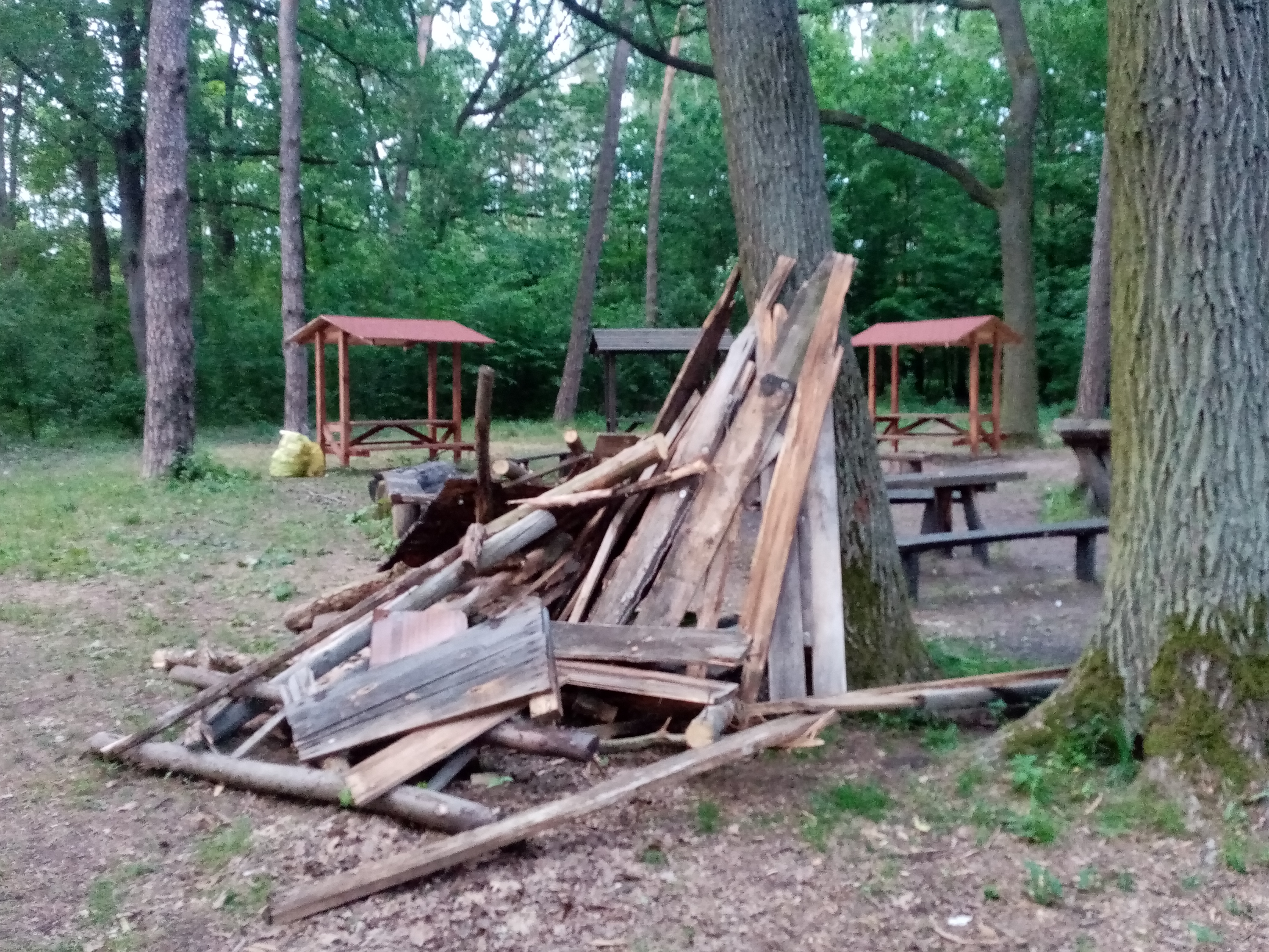 Opał na placu ogniskowym.jpg