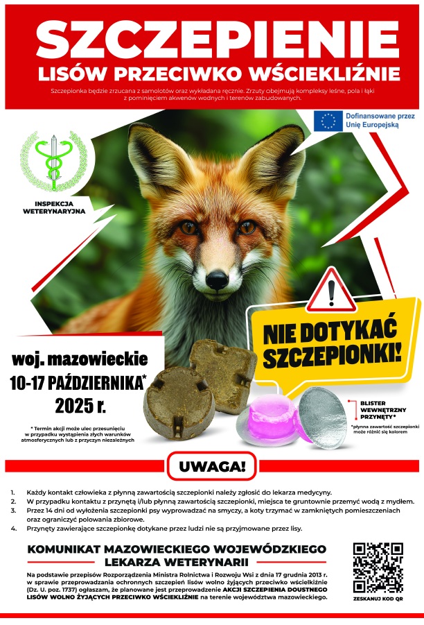 szczepienie lisów.jpg