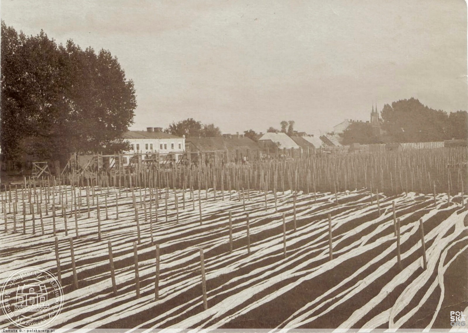 Widok z bielnika na ulicę 1 maja.jpg