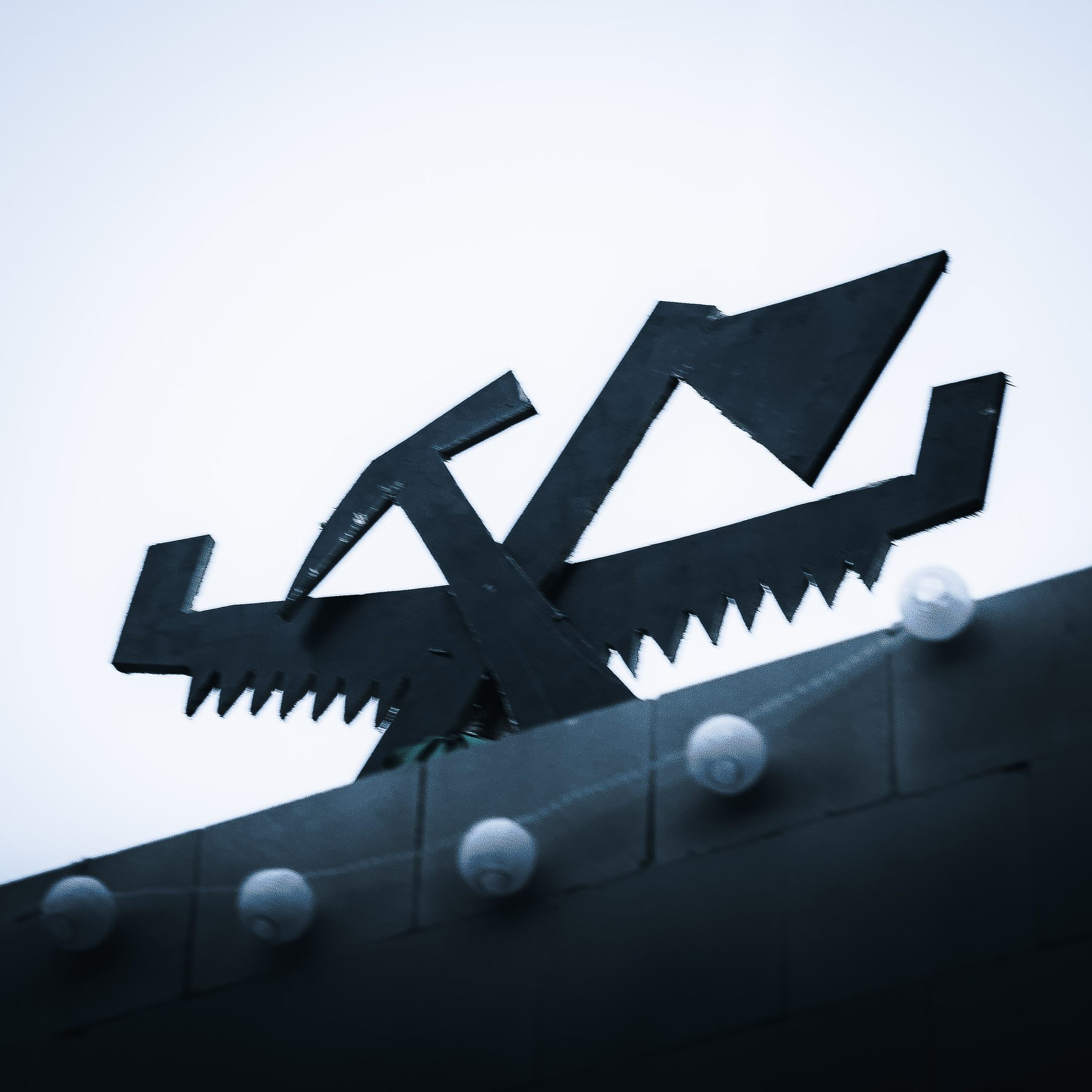 wiecha w styczniu.jpg