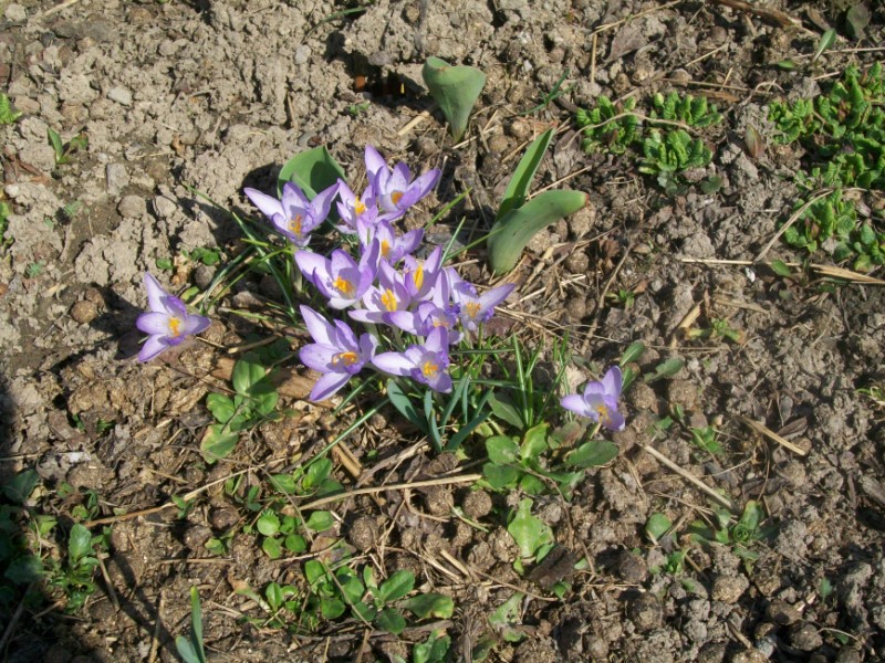 Obraz1 008 [1600x1200].jpg