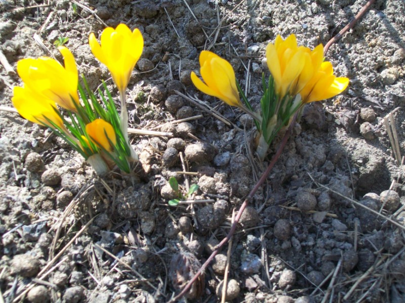 Obraz1 009 [1600x1200].jpg