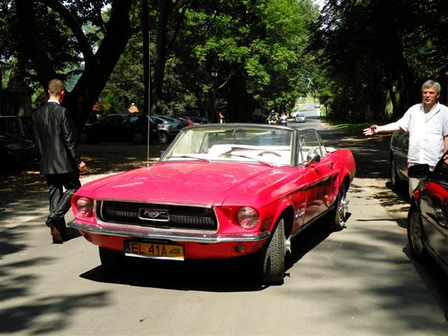 DSCN6096 (Medium) (Small).JPG